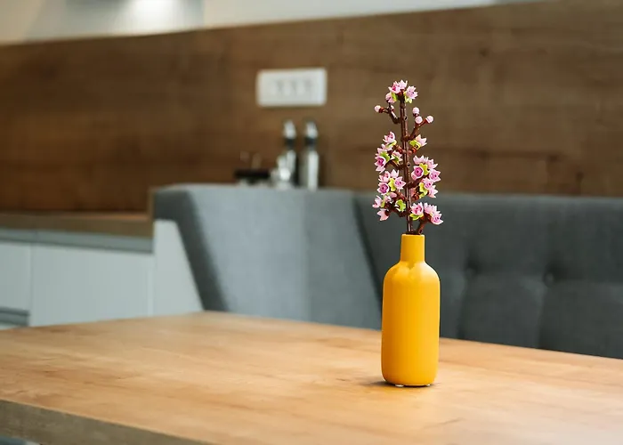 Family Soca Splash דירה